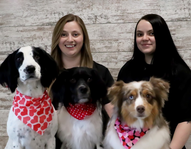 Professional dog grooming in Coon Rapids, MN